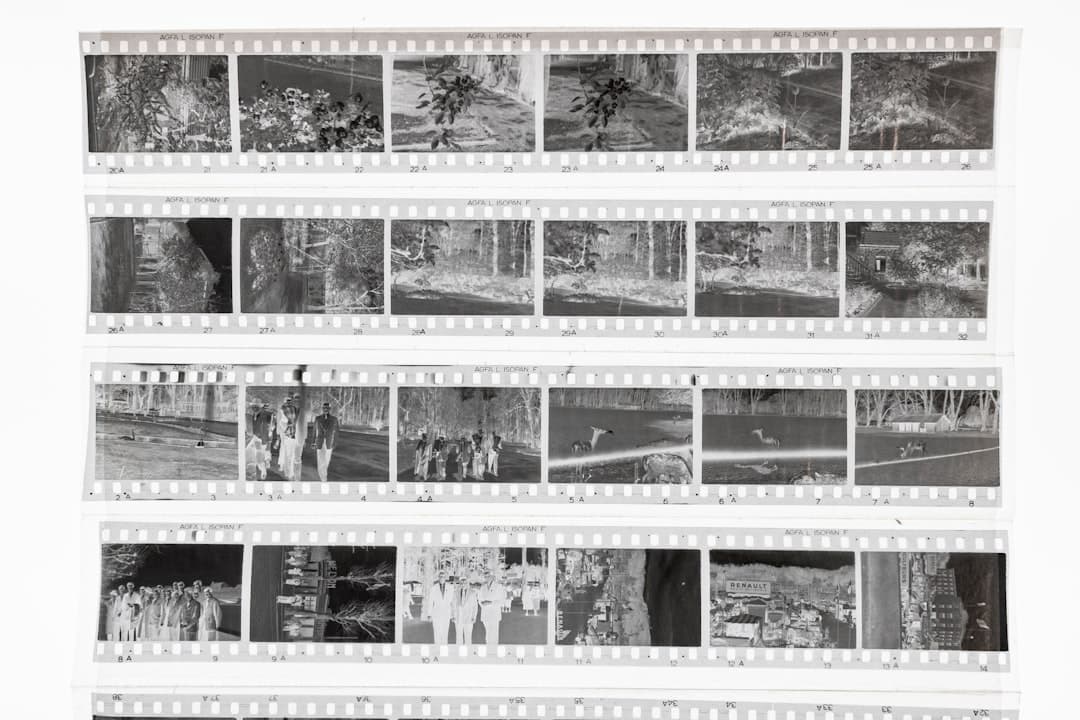 A black and white photo of a film strip